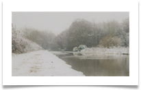 Let it Snow - Jane Turner